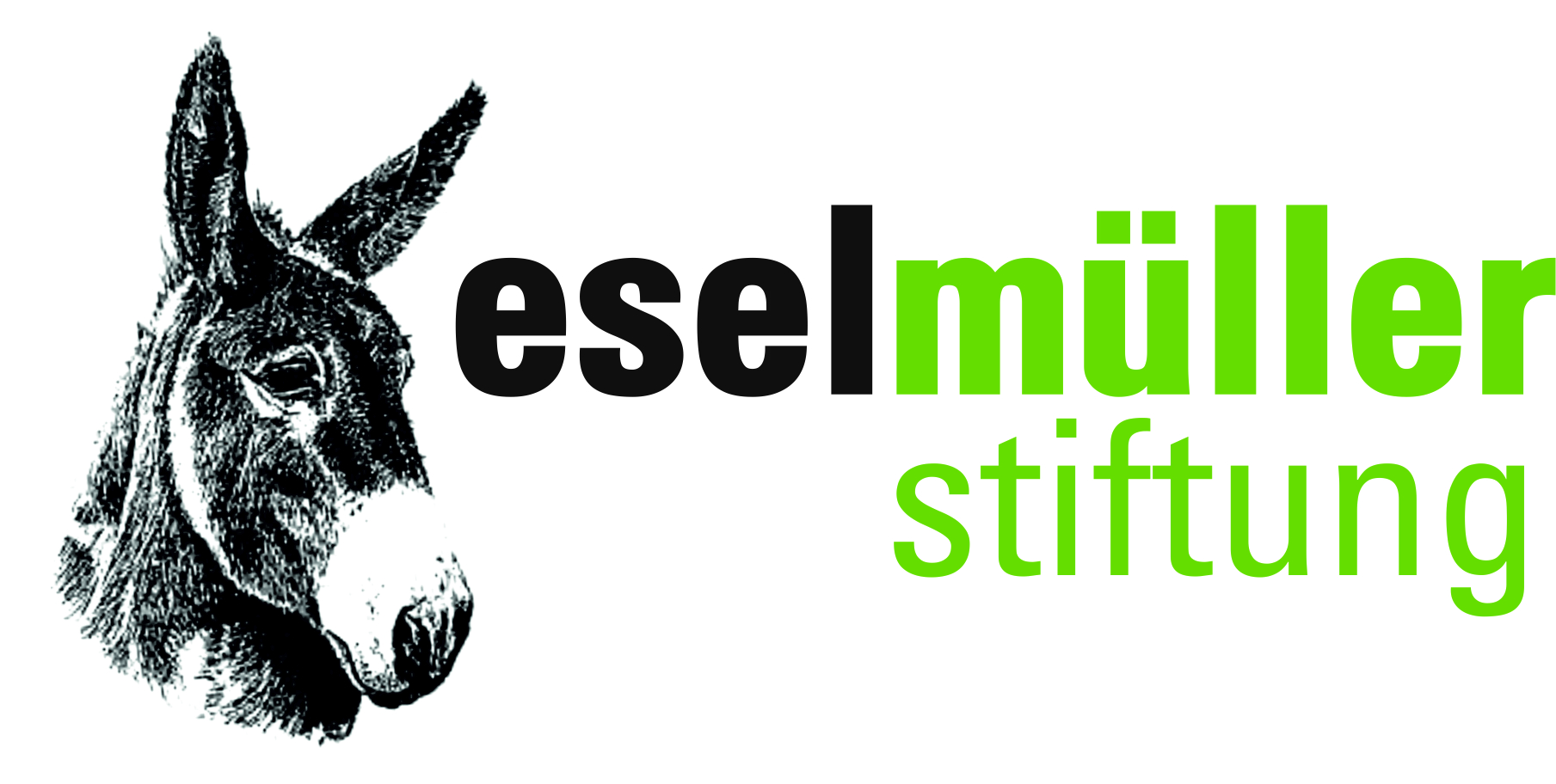 eselmüller stiftung